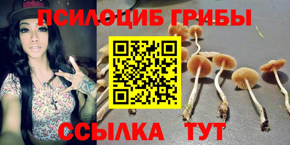 Псилоцибиновые грибы Magic Shrooms Гуково