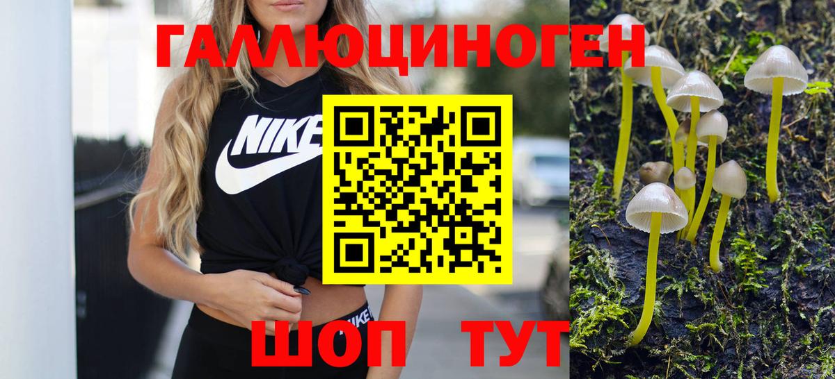 Гуково  Галлюциногенные грибы мухоморы  Вход с VPN  Псилоцибиновые грибы мухоморы 